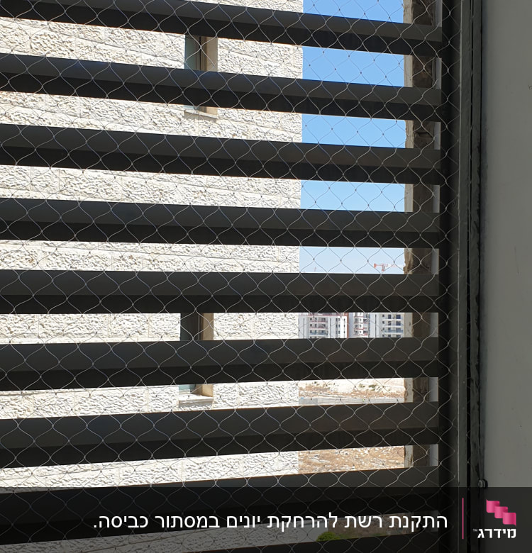 רשת מתכת על חלון למניעת כניסת יונים
